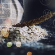 Prehrambena Oz. živilska Industrija Naslovna